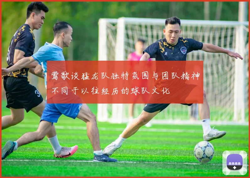 莺歌谈猛龙队独特氛围与团队精神不同于以往经历的球队文化
