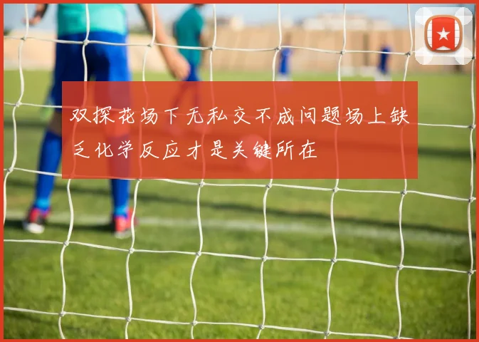 双探花场下无私交不成问题场上缺乏化学反应才是关键所在