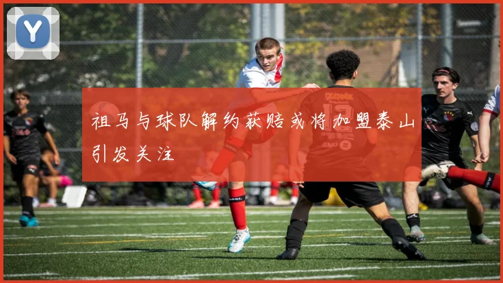 祖马与球队解约获赔或将加盟泰山引发关注